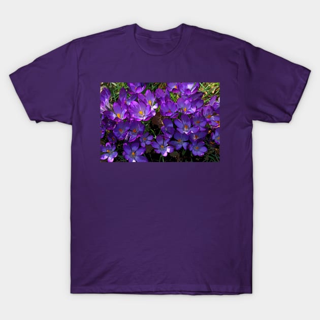 Crocus Cluster T-Shirt by RedHillDigital